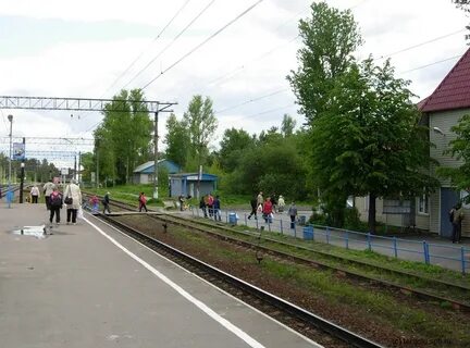 Фото токсовская