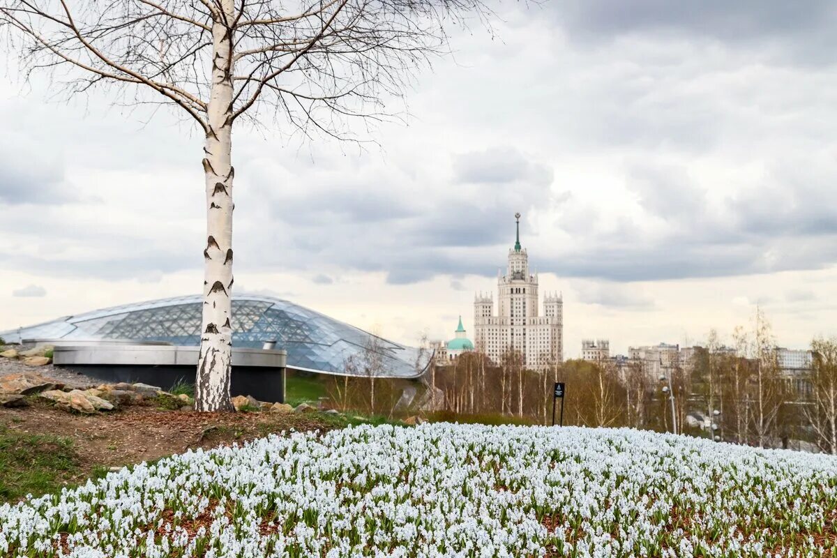 Парк Зарядье Москва 2022. Парк Зарядье 2022. Парк Зарядье цветы. Зарядье выставки 2024