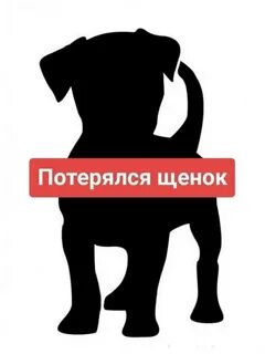 Потеряла щенка
