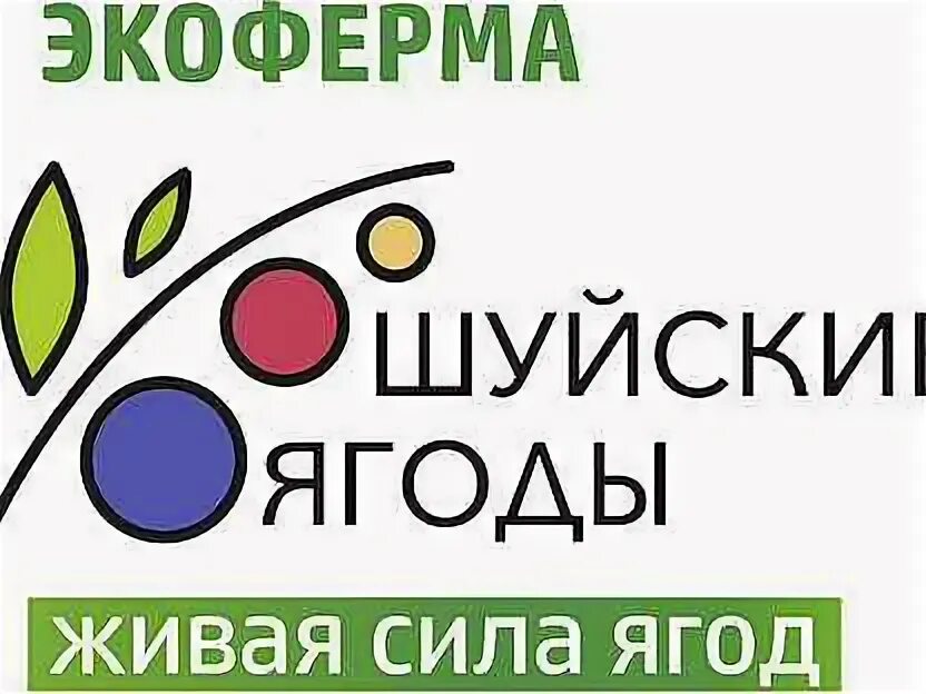 Шуйская ягода сайт