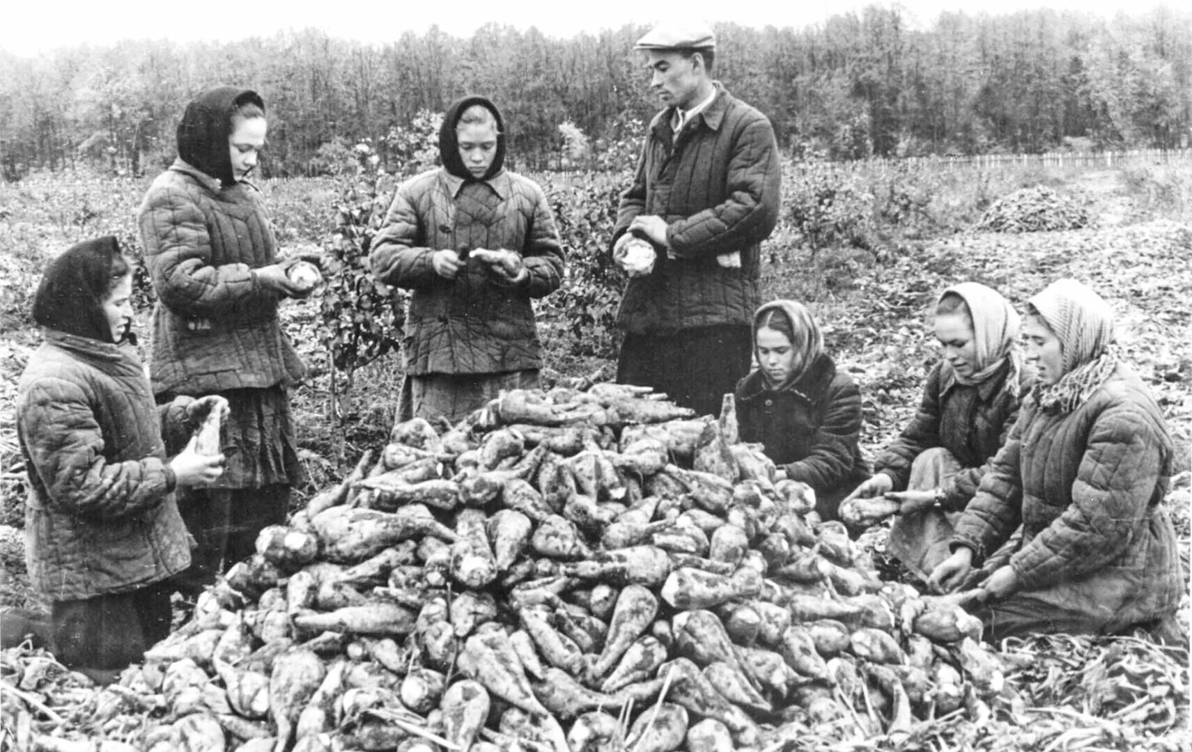 Колхоз отдать. Крестьяне в колхозе. Кузнецова анна ивановна колхоз красный маяк. Колхоз путь крестьянина ивановской области в 1950г. На картошку в ссср.