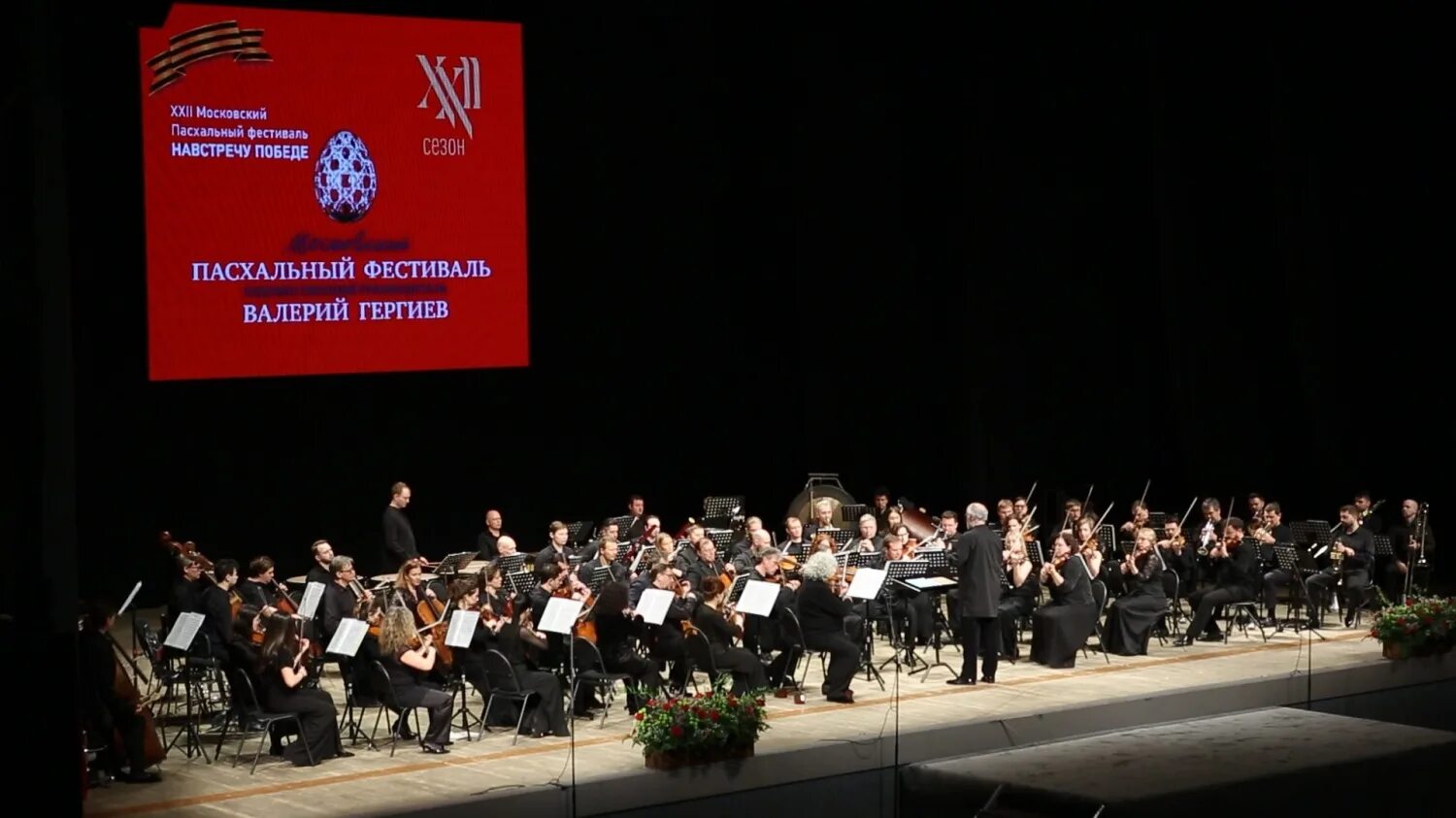 Оркестр Мариинского театра. Зал Рахманинова Мариинский театр. Выступление оркестра. Мариинский симфонический оркестр скрипач.