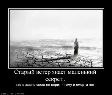 Ветру доверяй