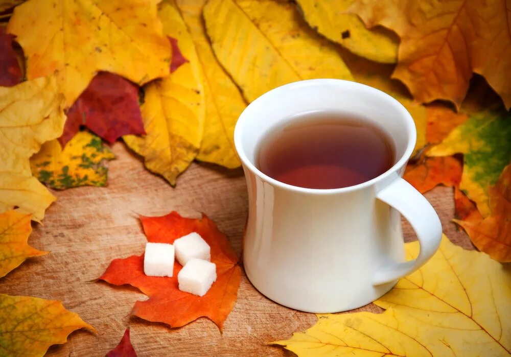 Утро картинки осенние необычные. Доброе утро осень. Осеннее утро картинки. Хорошего дня осень чай. Открытка осень чай.