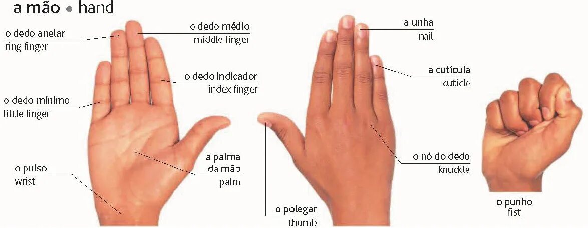 Руки перевести на английский. Названия пальцев на английском. Пальцы на английском на руках. Пальцы на руках название на английском. Название пальцев на внгл.
