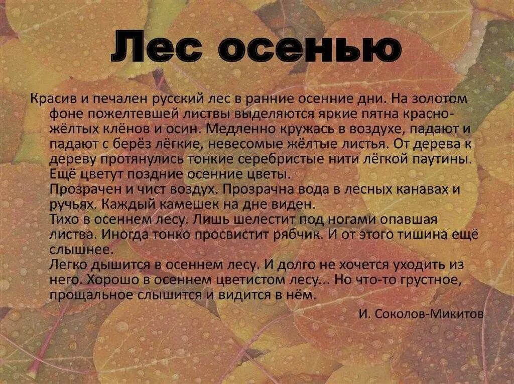 Позднее осень рассказ. Сочинение на тему осень. Осенний лес сочинение. Рассказ про осенний лес. Лес осенью сочинение.