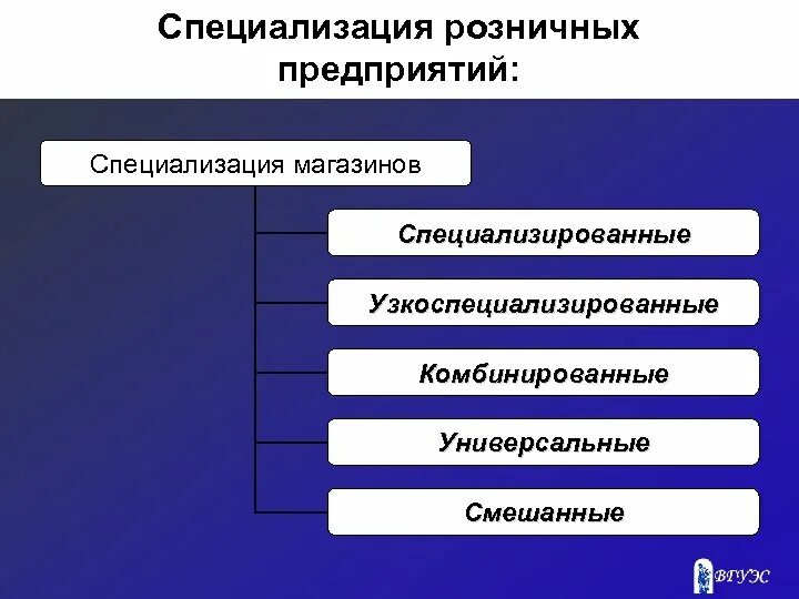 Специализированные торговые предприятия. Классификация магазинов розничной торговли. Специализированные торговые предприятия. Специализация предприятий розничной торговли. Виды розничных торговых предприятий.