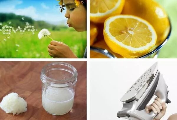 Как отстирать пятно от одуванчика на одежде. Пятно от чая как вывести. Пятна от одуванчиков на одежде. Вывести пятно от солидола. Пятна от одуванчиков.