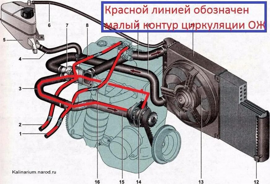 Холодный радиатор причина. Охлаждающая система Лада 2115. Патрубки малого круга системы охлаждения ВАЗ 2114. Система циркуляции охлаждающей жидкости ВАЗ 2114. Система охлаждения ВАЗ 2114 2011 года.