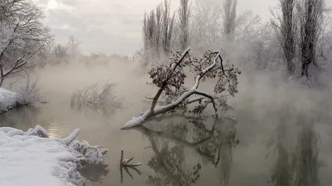 Туман таял и уже видно было как