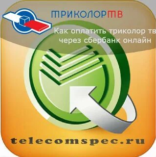 После оплаты триколор через сколько заработает каналы