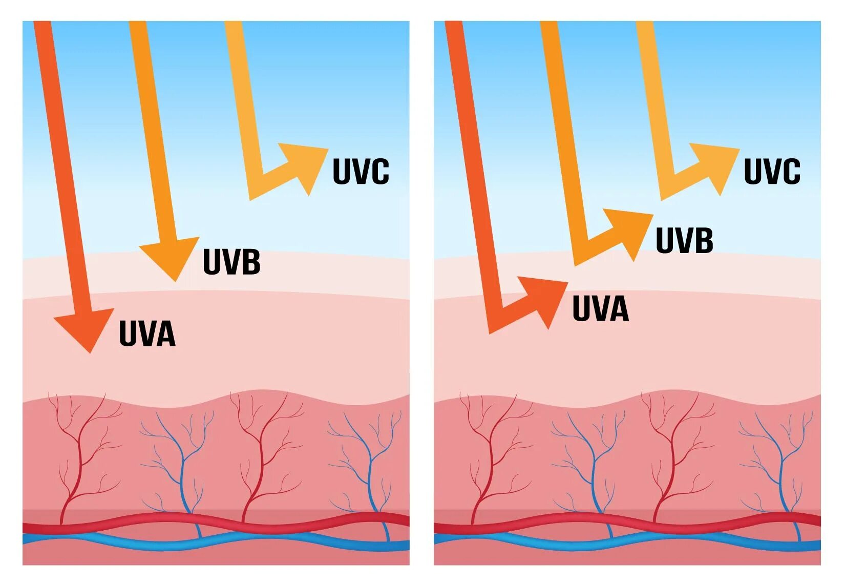 Ультрафиолет UVA UVB UVC. UVA UVB лучи что это. Воздействие УФ излучения на кожу. UVB излучение. Кожа защищает организм от ультрафиолетовых лучей