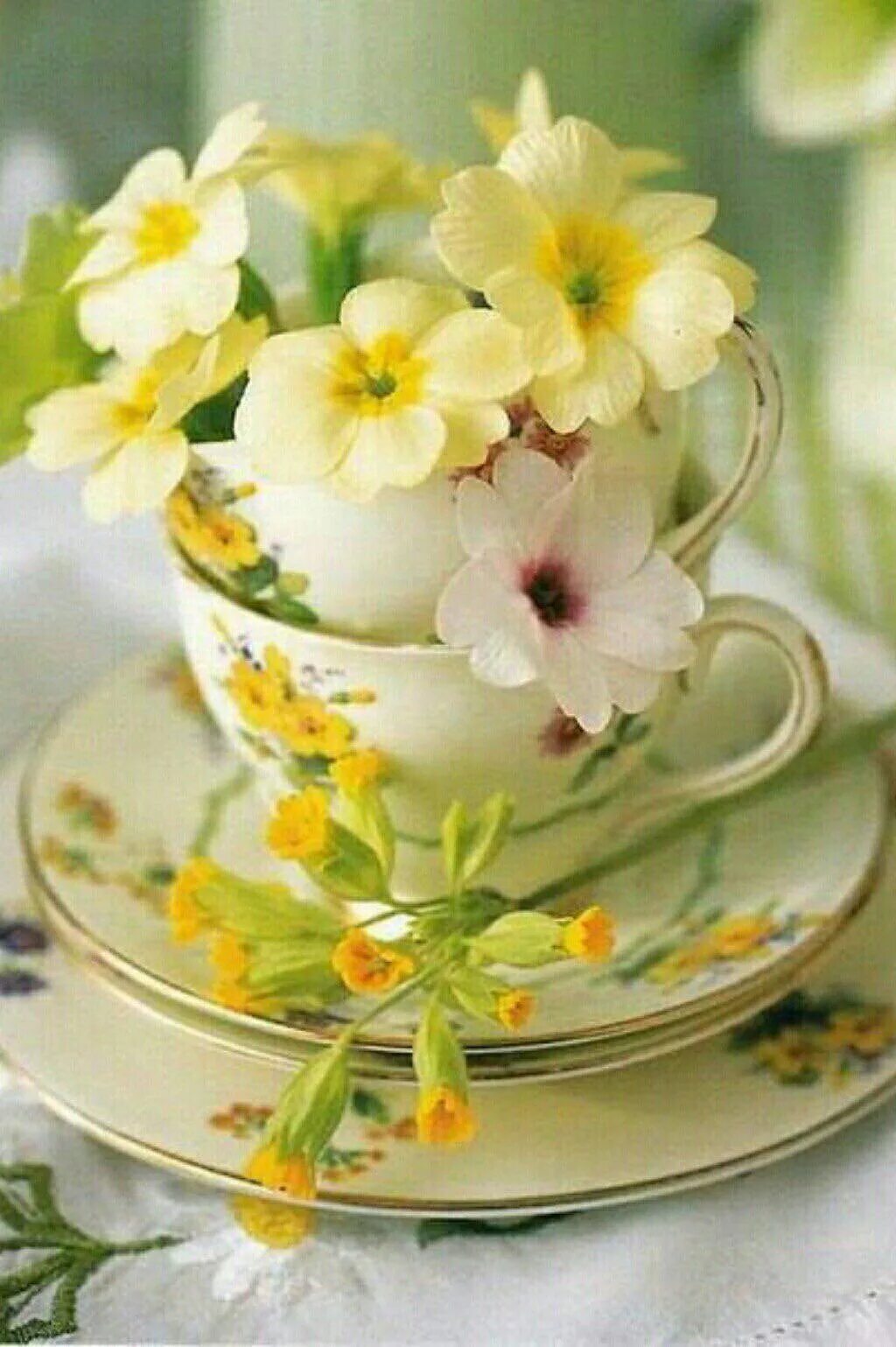 Воскресные цветы. Красивые цветы в чашке. Утренние цветы. Открытки с добрым утром. Чудесные открытки с добрым утром.
