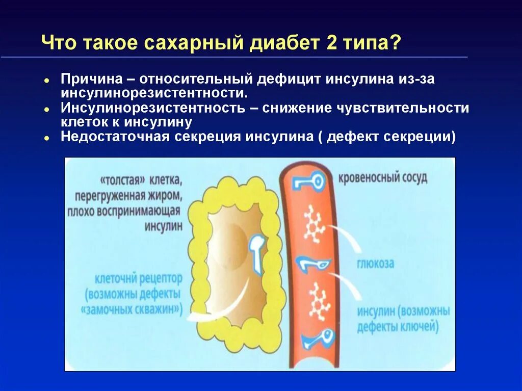 Сахарный тип 2. Сахарный диабет 2 типа. сахарный диаебет 2типа. причины сахарного диабета 2 типа. инсулинорезистентность и сахарный диабет.
