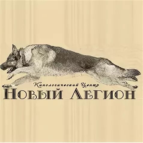 Новый легион люберцы