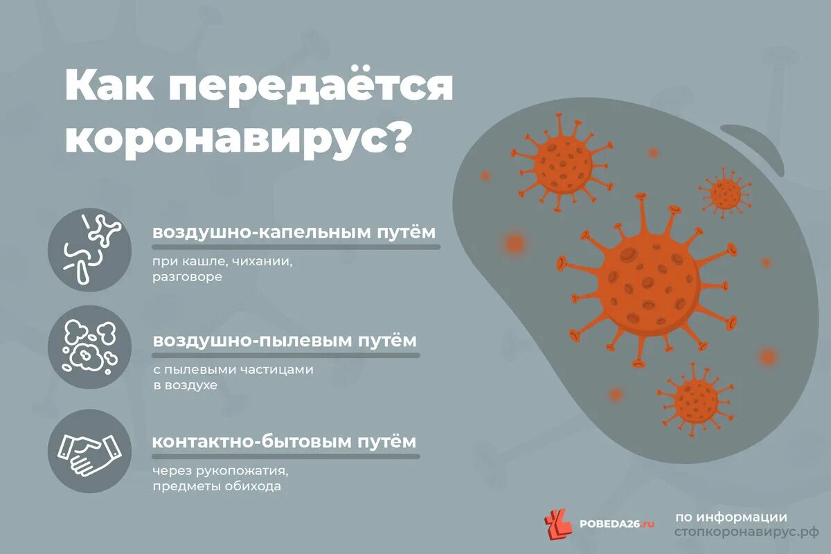 Пути распространения коронавирусной инфекции. Как передаеться корона. Как передается коронавирус. Пути передачи коронавирусной инфекции. Инфицирования коронавирус