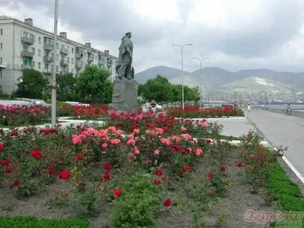 Сдаю в новороссийске