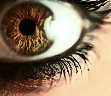 Todays eyes