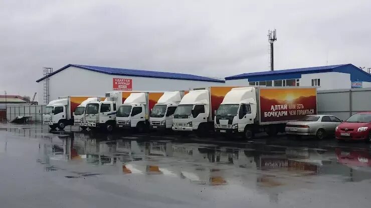 Транспортная компания алтайское. Бийские автоперевозчики автобус. Алтайская транспортная компания. Бийские автоперевозчики автобус. Транспортная компания алтайское.