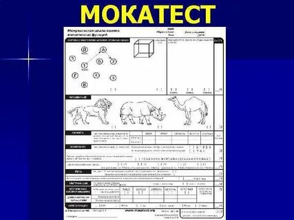 Шкала mmse