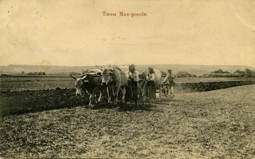 Воронежская губерния переселенцы. Малороссийские крестьяне 19 века. Крестьяне переселенцы сибирь 20 век. Малороссы 19 века. Переселенцы колонисты немцы поволжье.