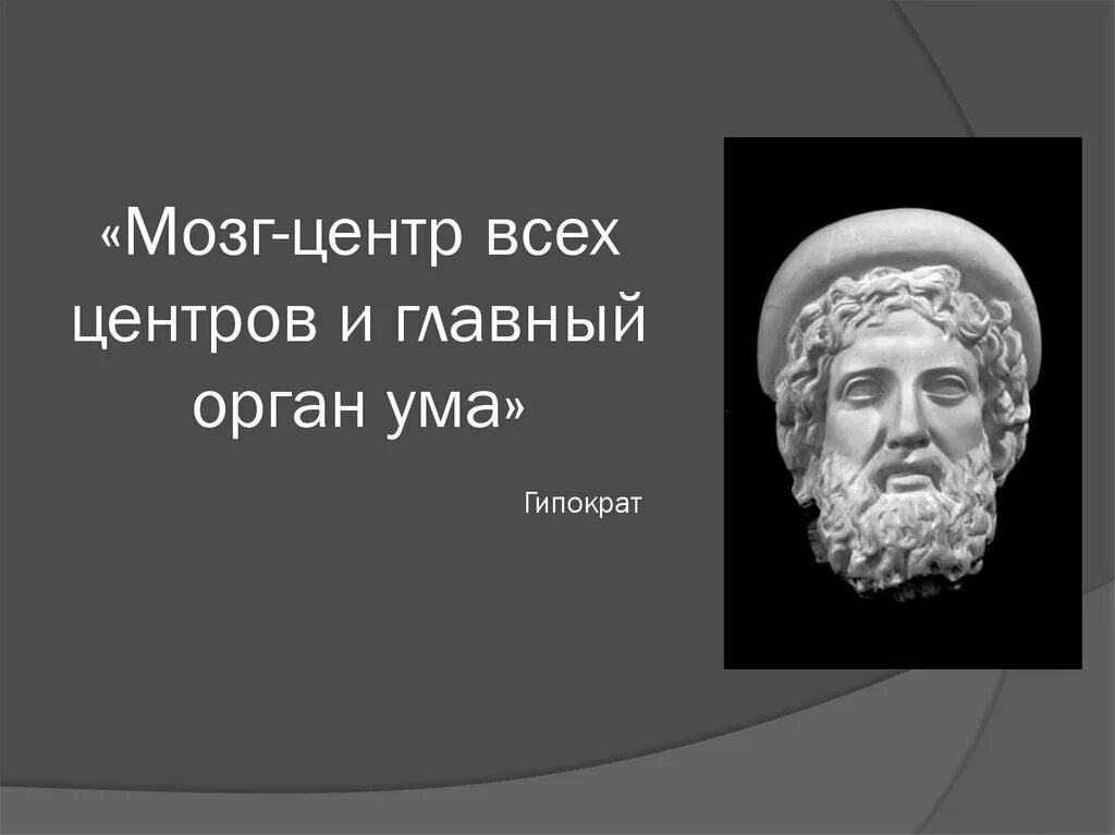 Мозг главный орган. Головной мозг афоризмы. Высказывания про головной мозг. Цитаты про головной мозг. Цитаты учёных о головном мозге человека.