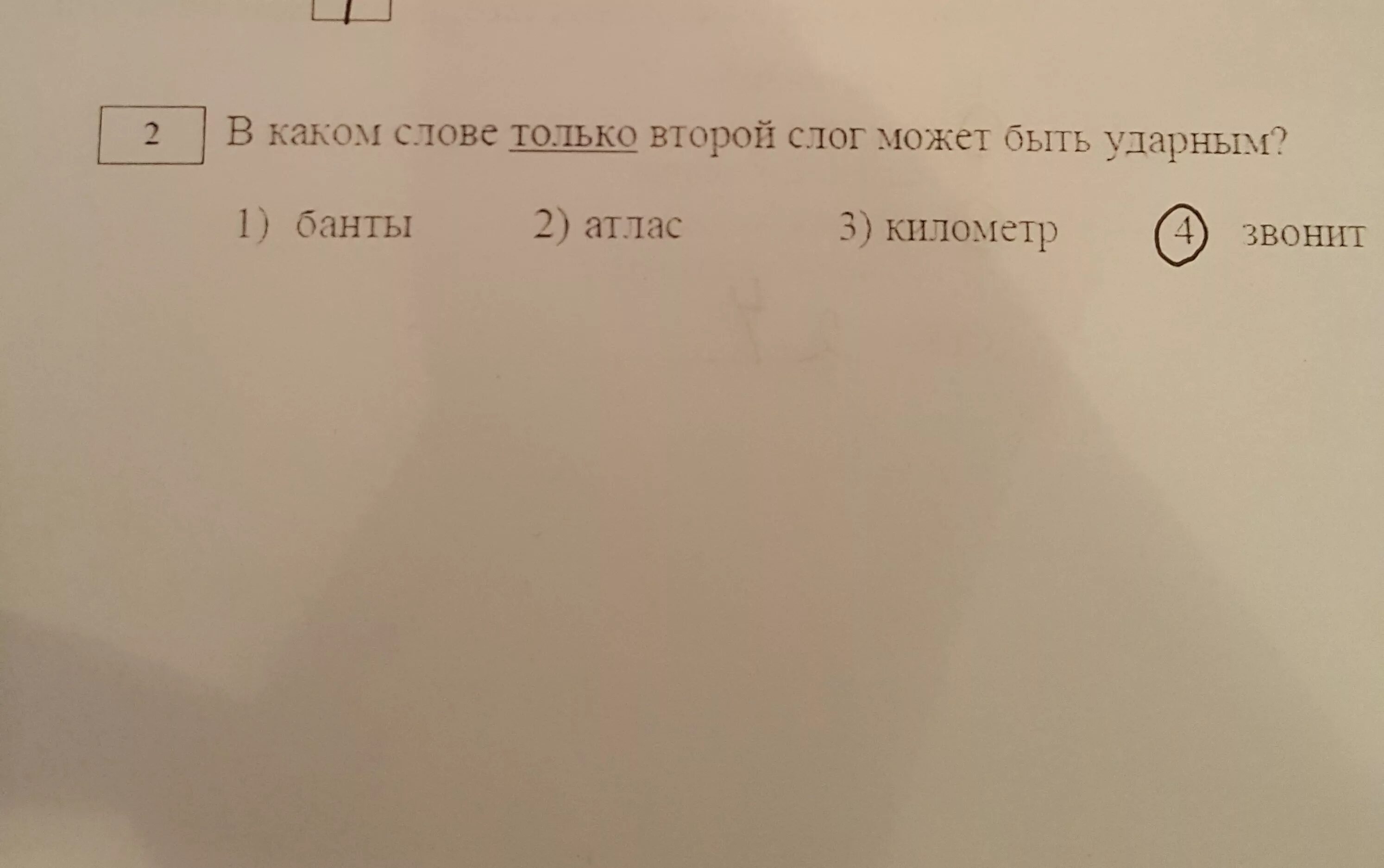 Ударный слог в слове звонит. В каком слове только второй слог может быть ударным. В каком слове только 2 слог может быть ударным мою вижу балую плачу. В каком слове только первый слог может быть ударным.