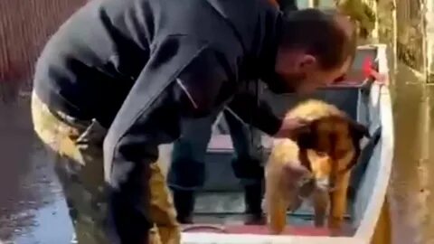 Спасти бросила