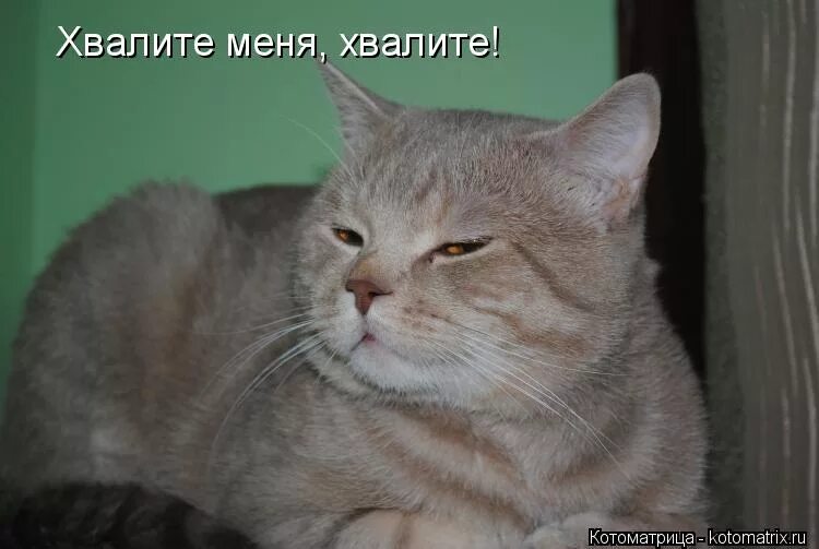 Хвалите меня. Мой враг мой учитель. Когда хвалят враги. Люби меня полностью. Меня похвалили за то выступление.