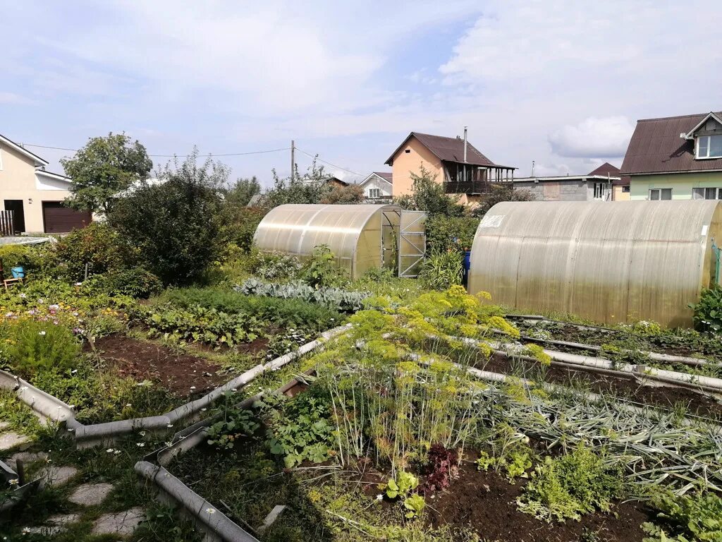 Участки балтым. Дача в Балтыме. СНТ госучреждений 2. Балтым садовый центр Екатеринбург.