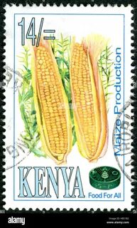 RFHEE1B2–A. stamp printed in Kenya, dedicated to 50th Anniversary of the Fo...