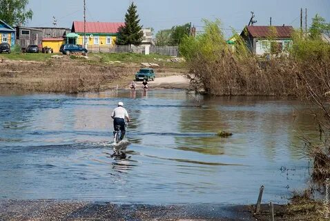 Пурдошки мордовия
