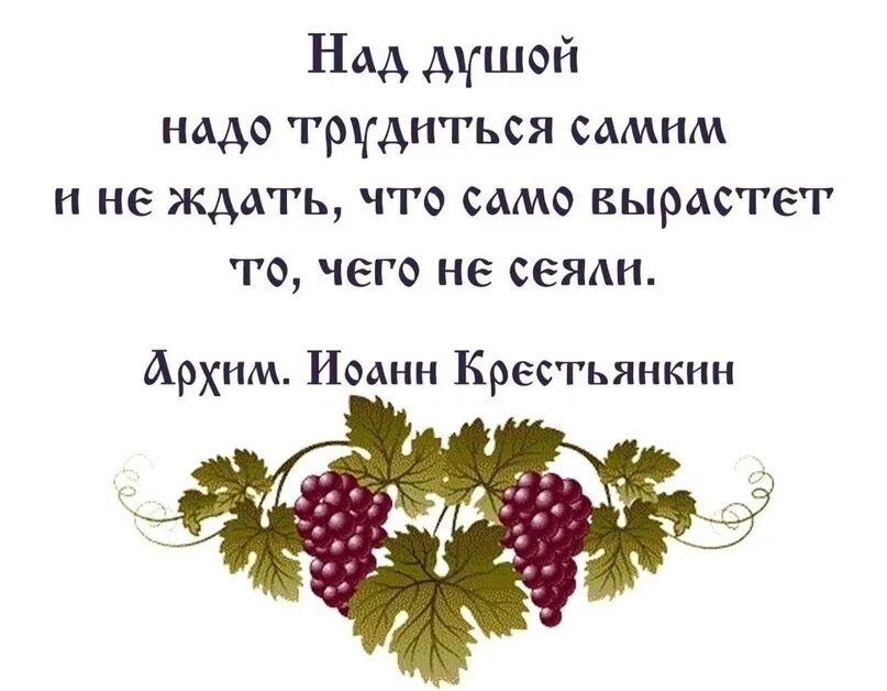 Главное сеять души в людях. Стих нам не дано предугадать тютчев. Главное сеять души в людях. Книга мудрости. Счастье в жизни.