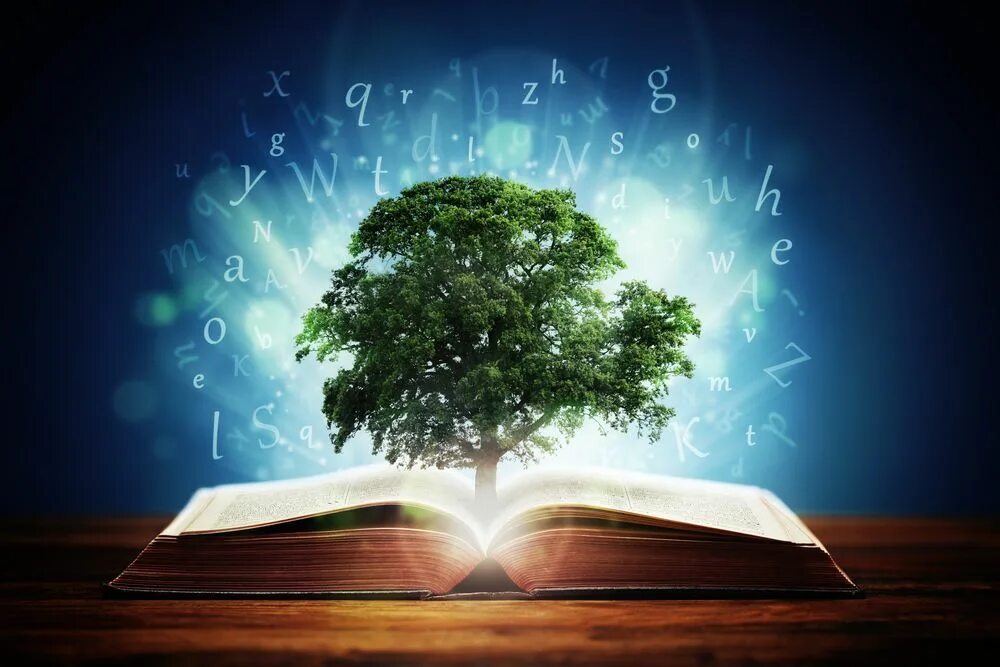 Знания мудрость. Книга знаний. Дерево знаний. Дерево знания мудрость.