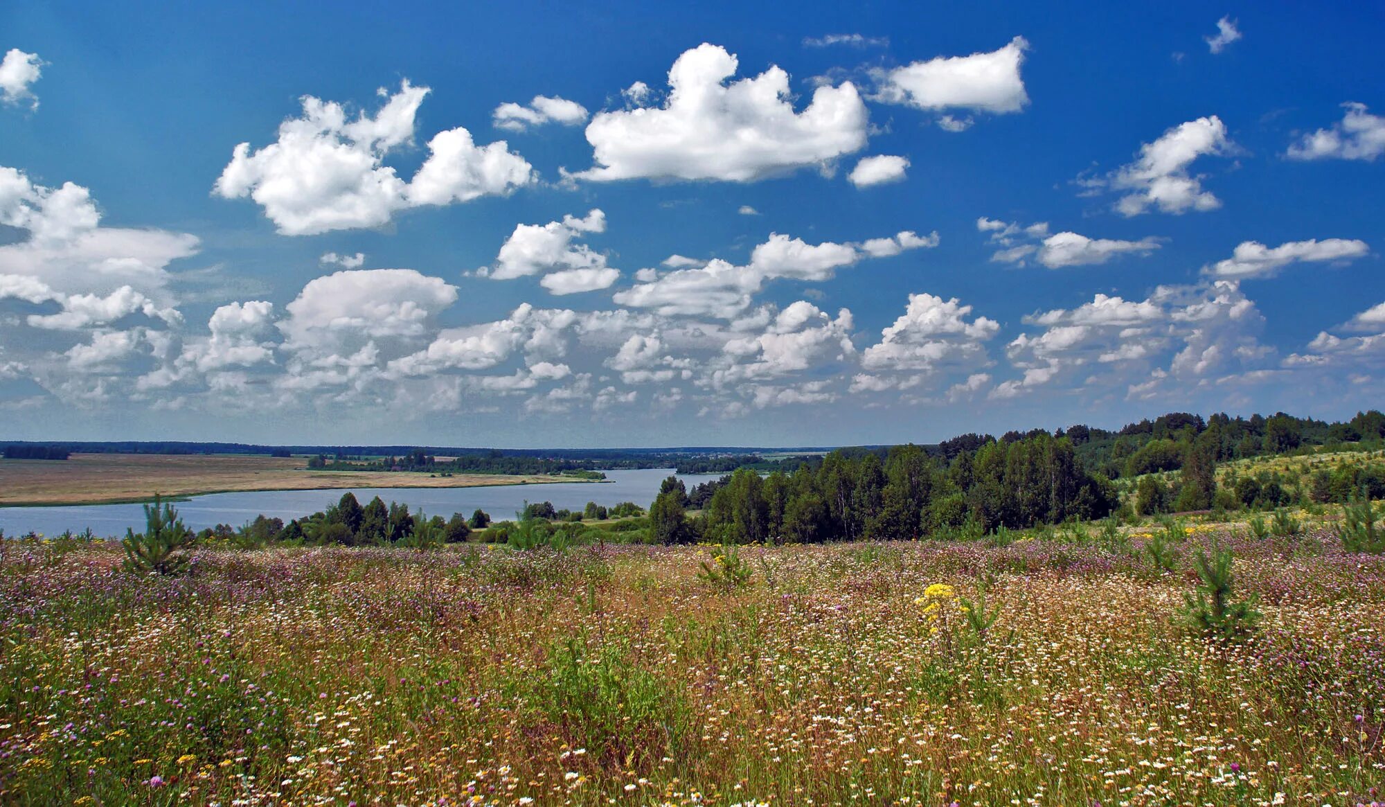 Река Ячменка Ивановской области. Равнины Ивановской области. Ландшафт Ивановской области. Чёрное озеро Ивановская область.