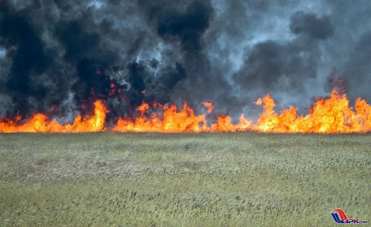 Степные пожары. Полевые пожары. Степные и полевые пожары. Пожар в лесостепи.