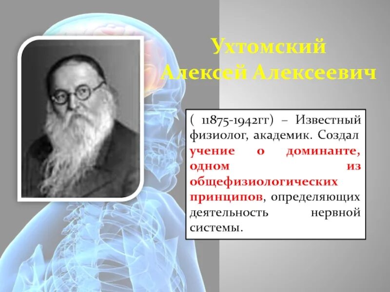 Учение о доминанте Ухтомского.