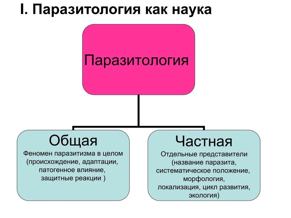Паразитология. Паразитология как наука. Паразитология общая характеристика. Паразитология биология. Паразитология классификация.