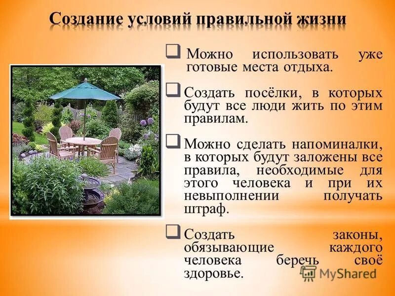 Экологическое воспитание дошкольников. Экологическая характеристика воды. Этапы системы экологического менеджмента. Эффект группы и эффект массы в экологии. Формирование экологической культуры школьников.