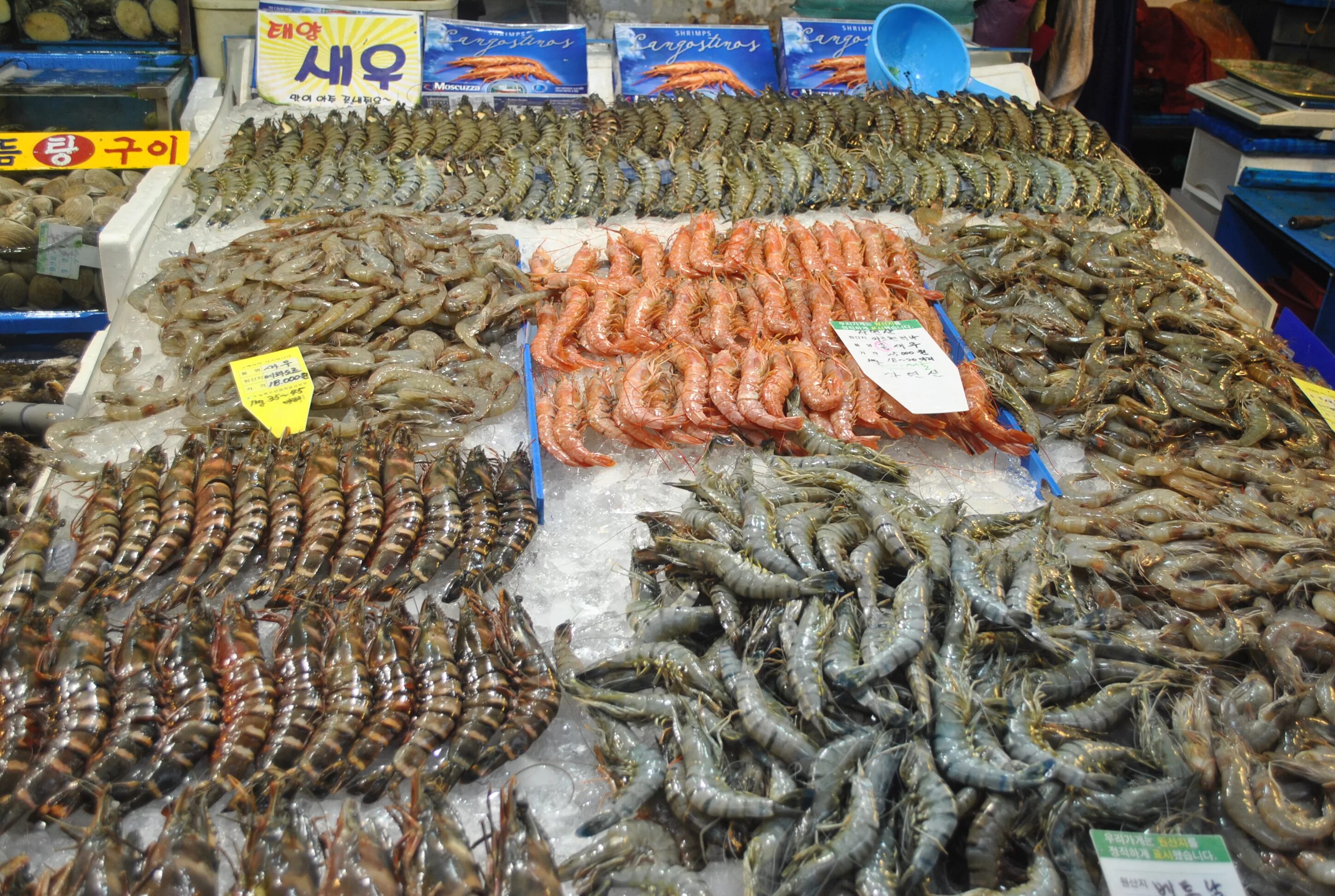 Где рыбный рынок на волне. Рыбный рынок в Шардже. Фишмаркет Дубай. Рыбный рынок Deira Waterfront. Шарджа рынок морепродуктов.