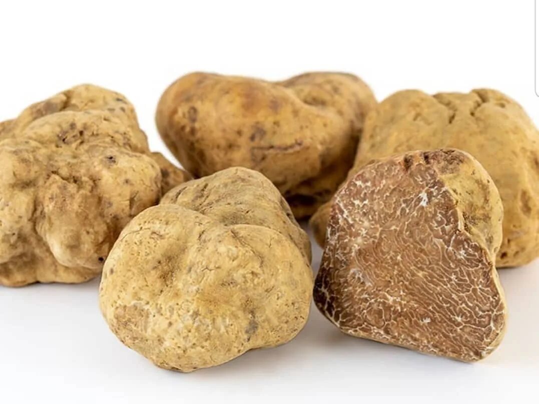 White truffle first. Трюфель Кинг. Truffe Blanche. Трюфель на белом фоне. Тертый трюфель.