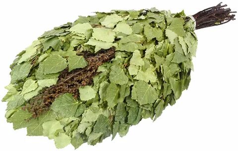 Куфар веники