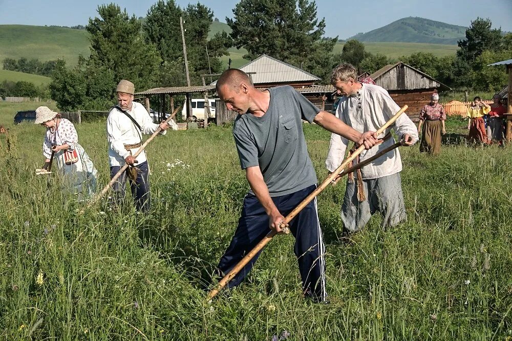 Организация села. Сельский туризм в Алтайском крае Солонешенский район. Сельский туризм агротуризм. Сельские жители. Жители сельской местности.