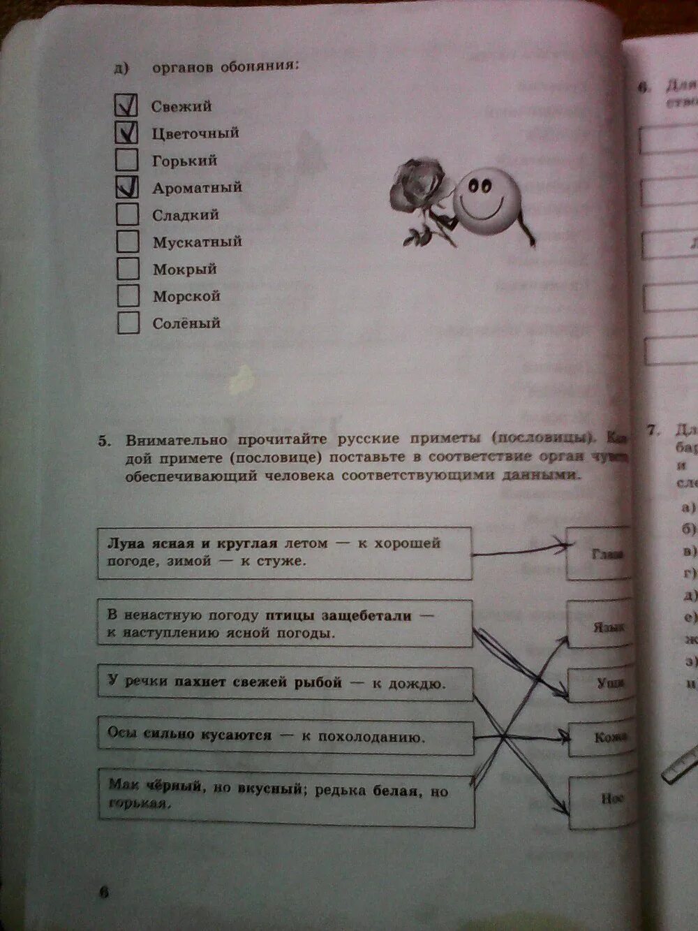 Информатика 5 класс. Информатика. 5 Класс. Учебник. Информатика 5 класс рабочая тетрадь. Информатика 5 класс босова. Информатика 5 класс стр 9