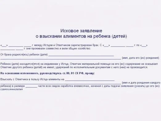 Можно подать на элементы. Какие справки нужны для подачи на алименты. список документов для подачи в суд на алименты. какие справки нужны чтобы подать на алименты. какие документы нужно подать на алименты после развода.