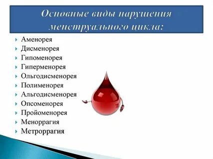 Полименорея это