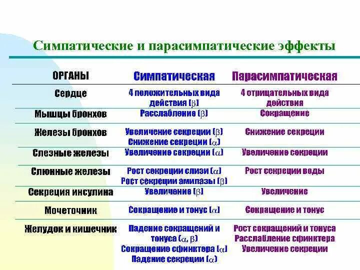 Признаки симпатической нервной системы. Признаки симпатической нервной системы