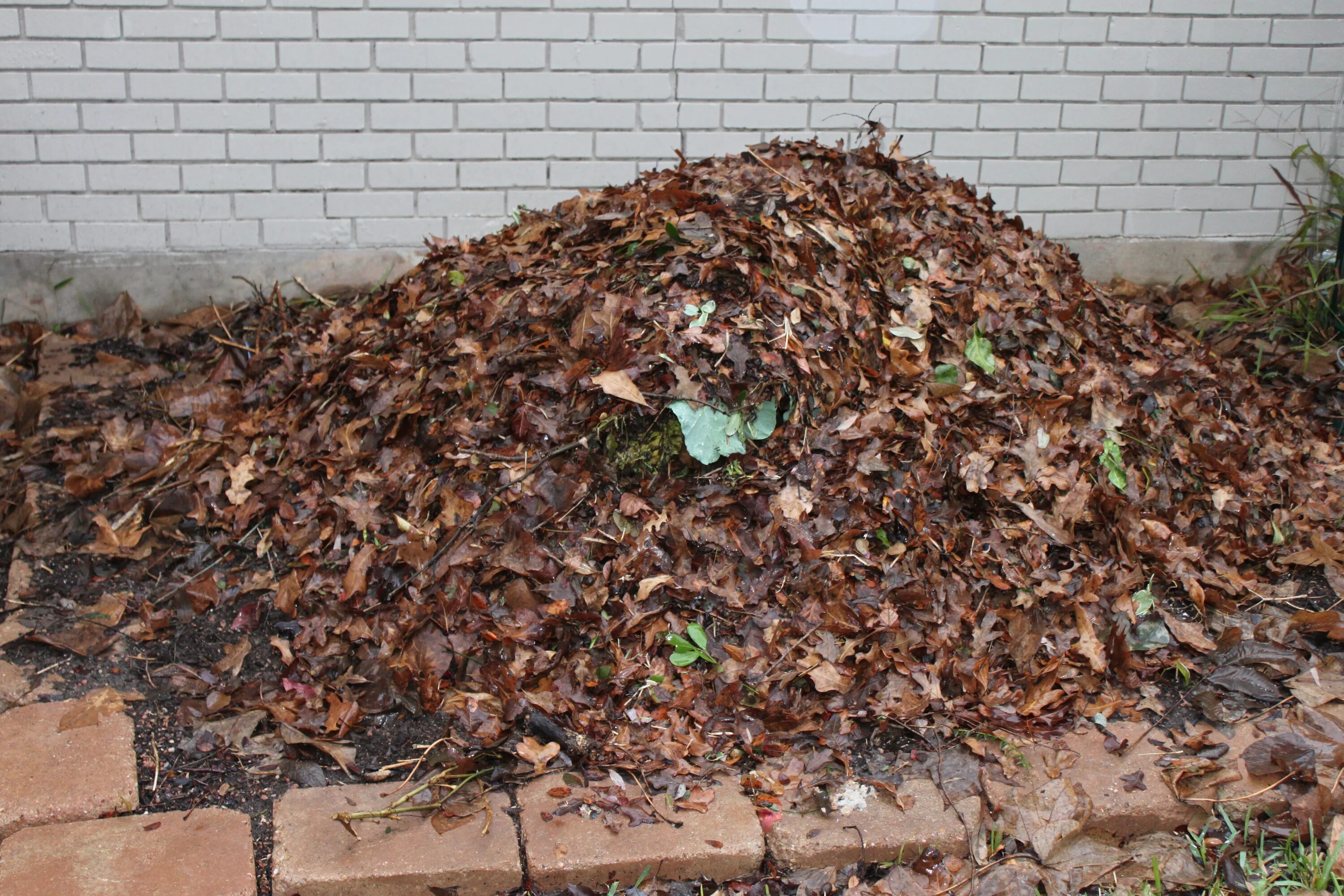 Лиственная почва. Дерновая земля торф листовая земля песок. Лиственная почва. Дерновая земля торф листовая земля песок. Лиственная почва.
