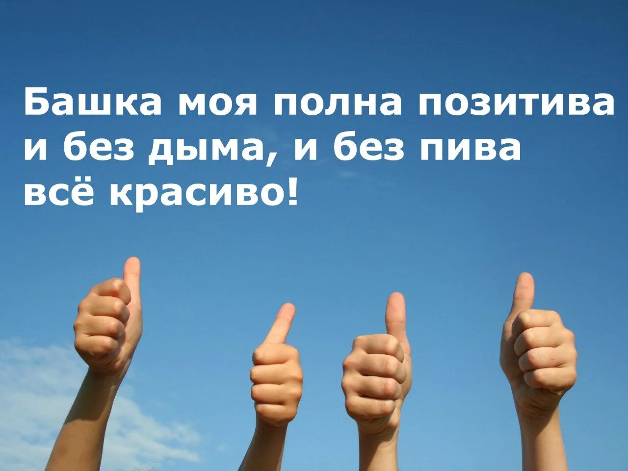 День является одним из лучших
