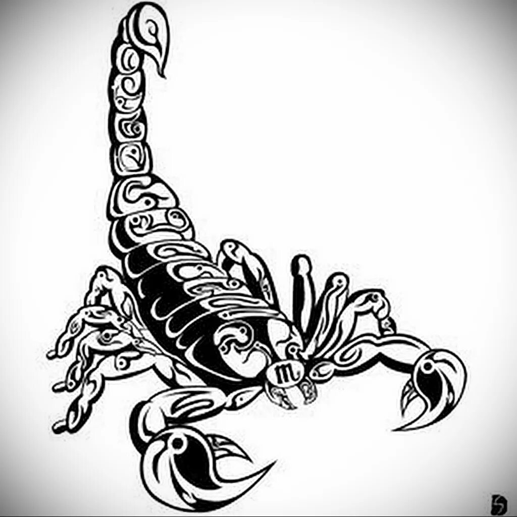 эскиз тату скорпион для мужчин. картинки тату скорпион. тату скорпион. скорпион эскиз. тату скорпион в стиле трайбл.